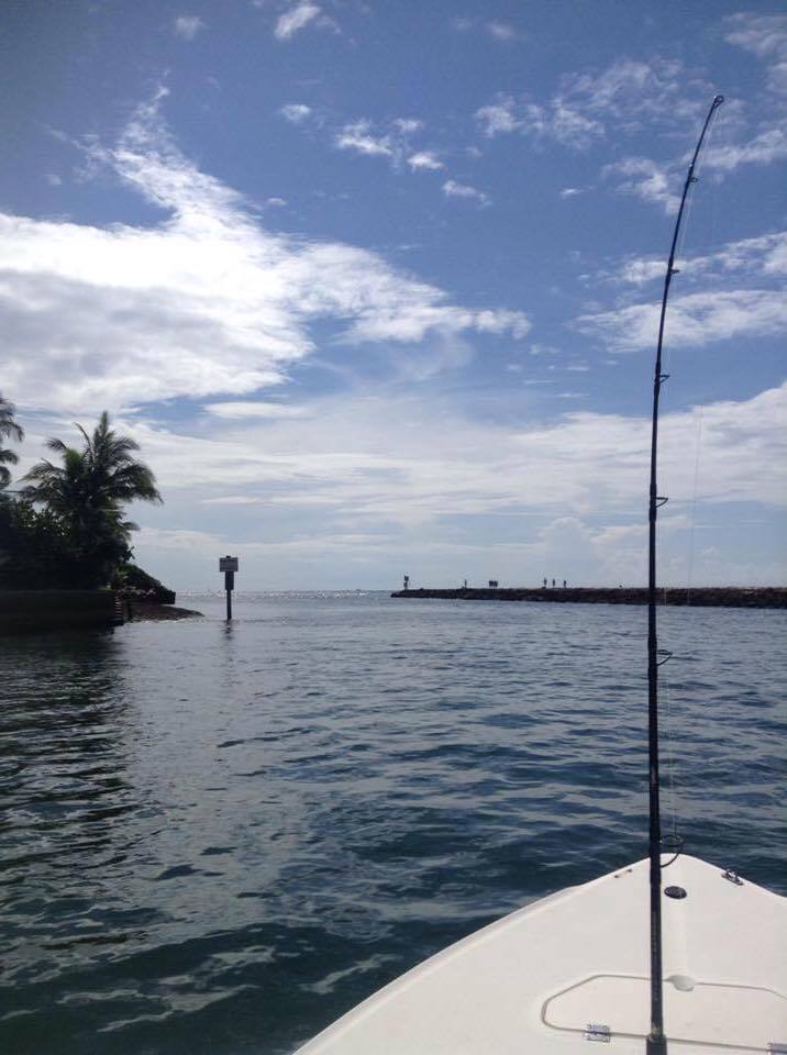 11822363_1155261881155567_8006473595741356065_n