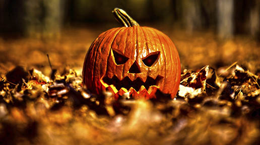 FT5S Pumpkins jack o lanterns halloween scary woods getty